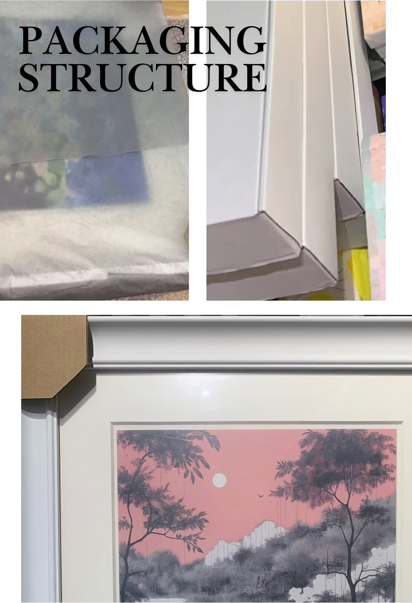 Framed Wall Arts - Scarlet Serengeti